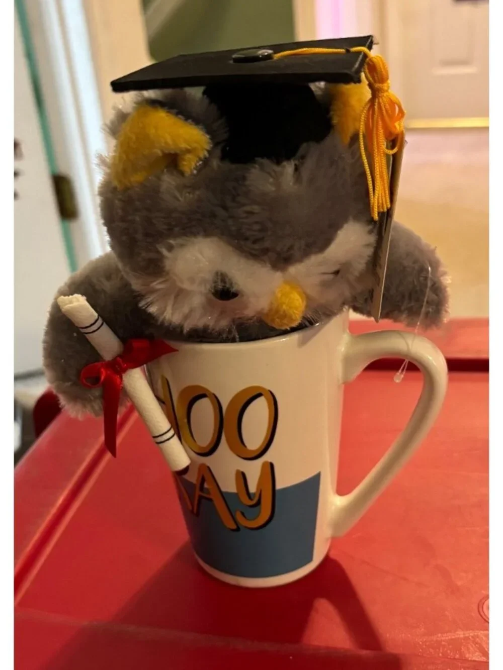 Graduation Owl Plush in “Hooray” Mug – Gift Set – NEW